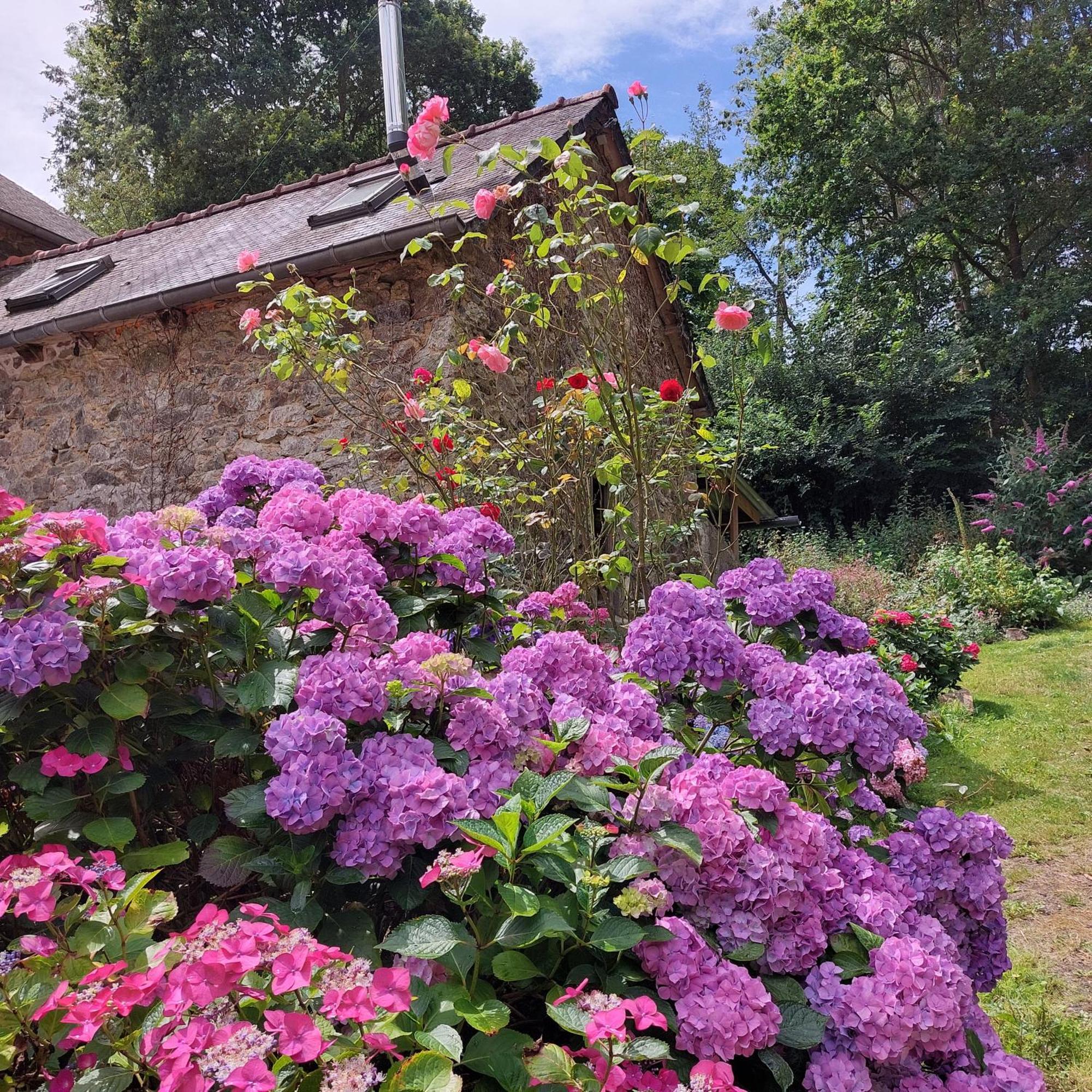 Bed and Breakfast Le Vieux Moulin Goudelin Zimmer foto